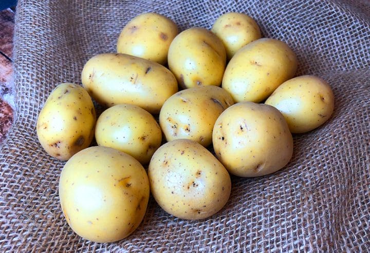 Yukon gold potatoes for air fryer roasted ranch potatoes recipe