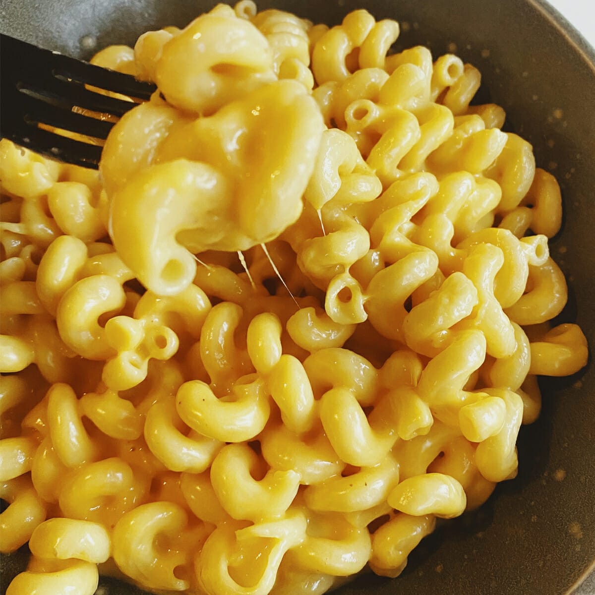 Instant Pot Butter Noodles - RecipeTeacher