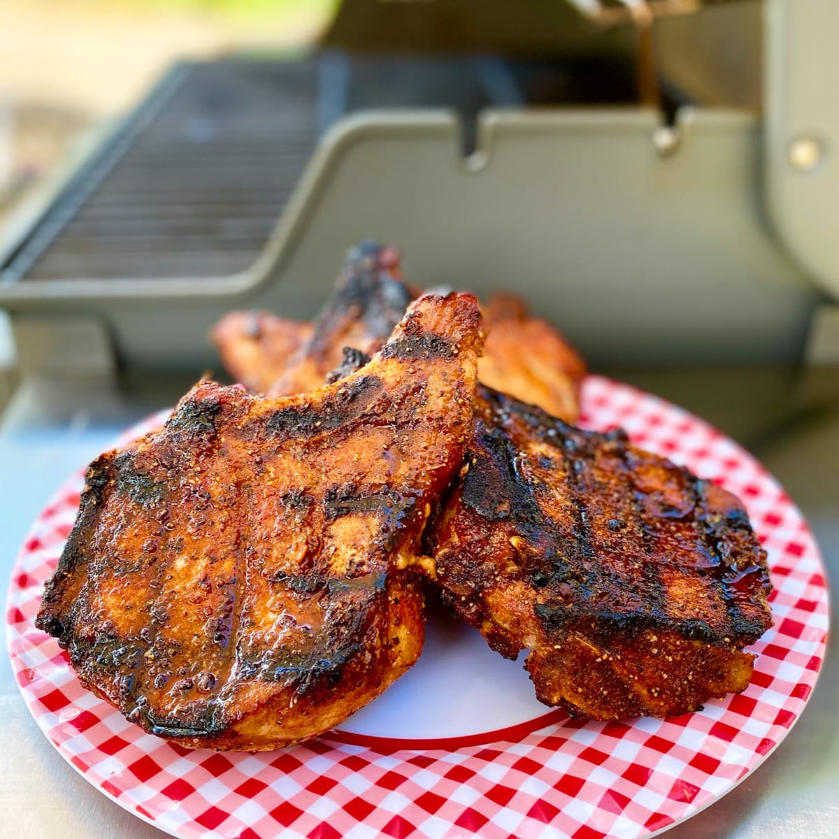 Best seasoning for outlet grilled pork chops