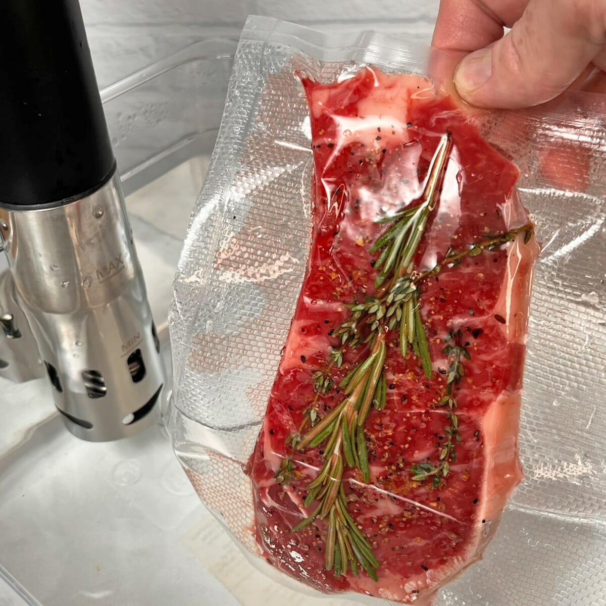 Sous Vide Cooking, How to Sous Vide Meat with Example