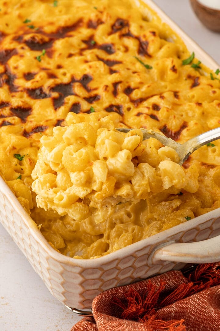 Best Damn Baked Mac and Cheese - RecipeTeacher